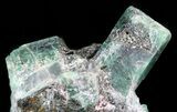 Beryl (Var: Emerald) Crystal Cluster in Biotite - Bahia, Brazil #44122-2
